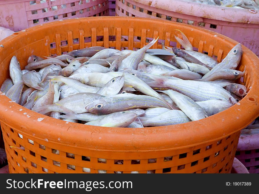 Fishes at morning market in Thailand. Fishes at morning market in Thailand.