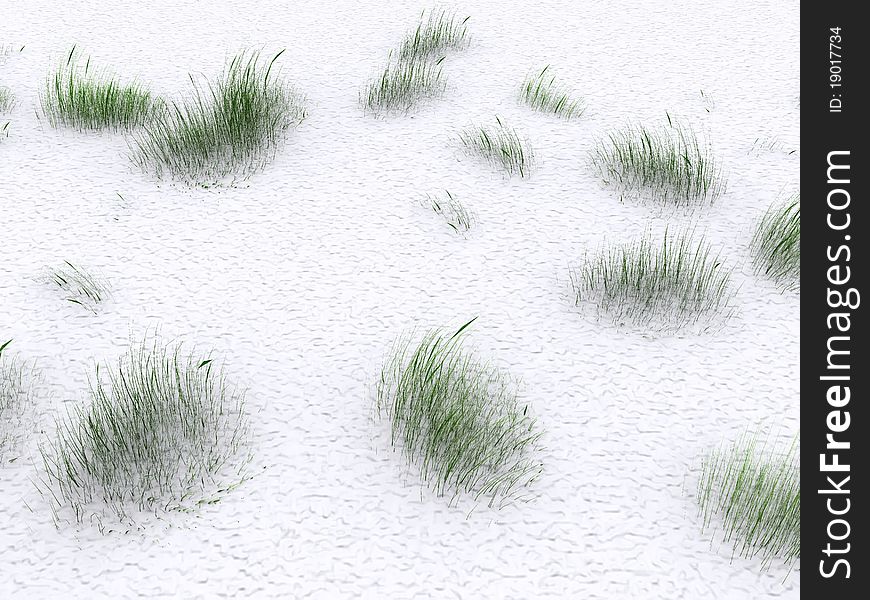 Grass in snow