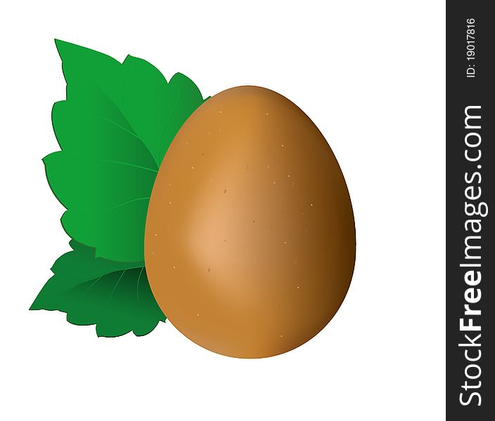 Egg and leaf illustration on white background. Egg and leaf illustration on white background