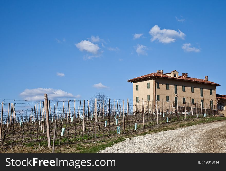 Italian Villa With Vineyard: Spring Season