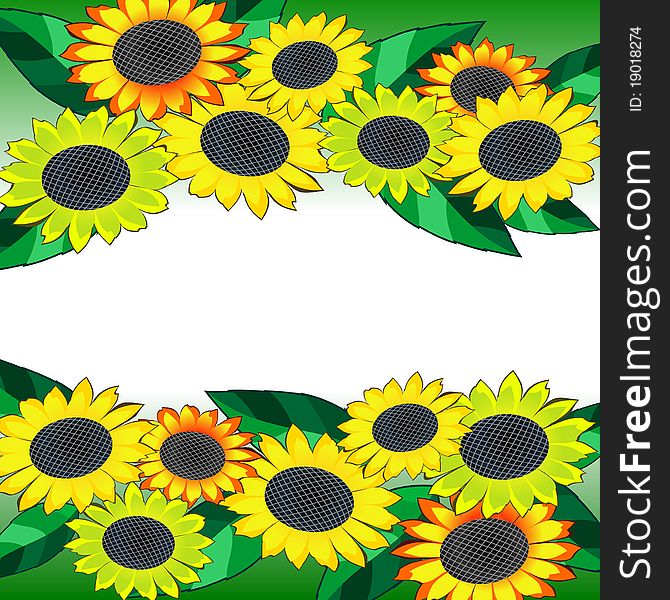 Horizontal background with colorful sunflowers and green leaves. Horizontal background with colorful sunflowers and green leaves