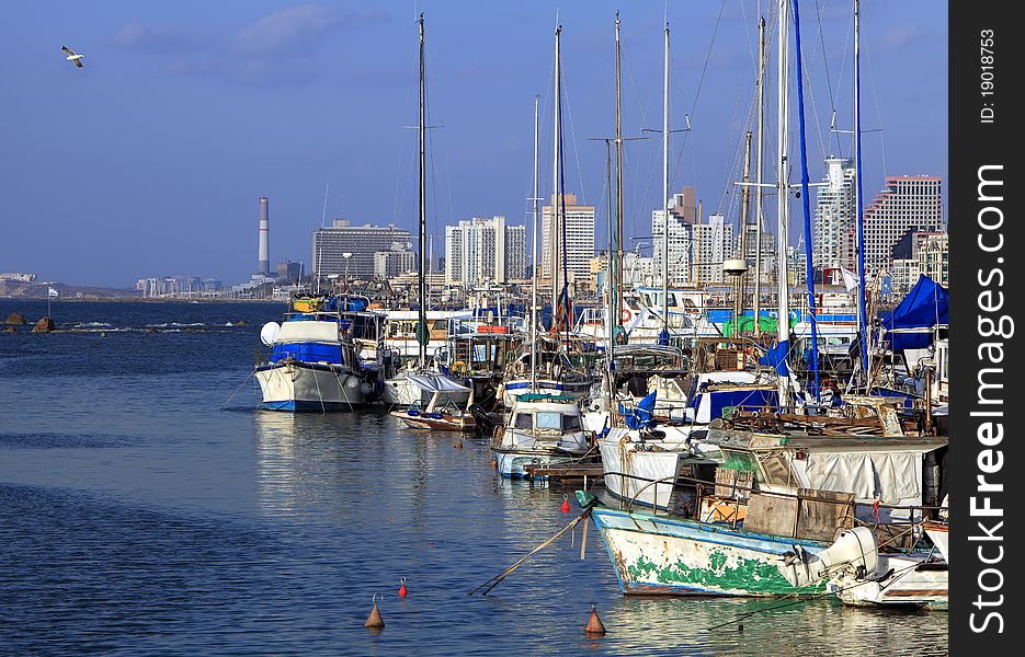 Yachts in Yaffo port (Israel) on Tel-Aviv background. Yachts in Yaffo port (Israel) on Tel-Aviv background