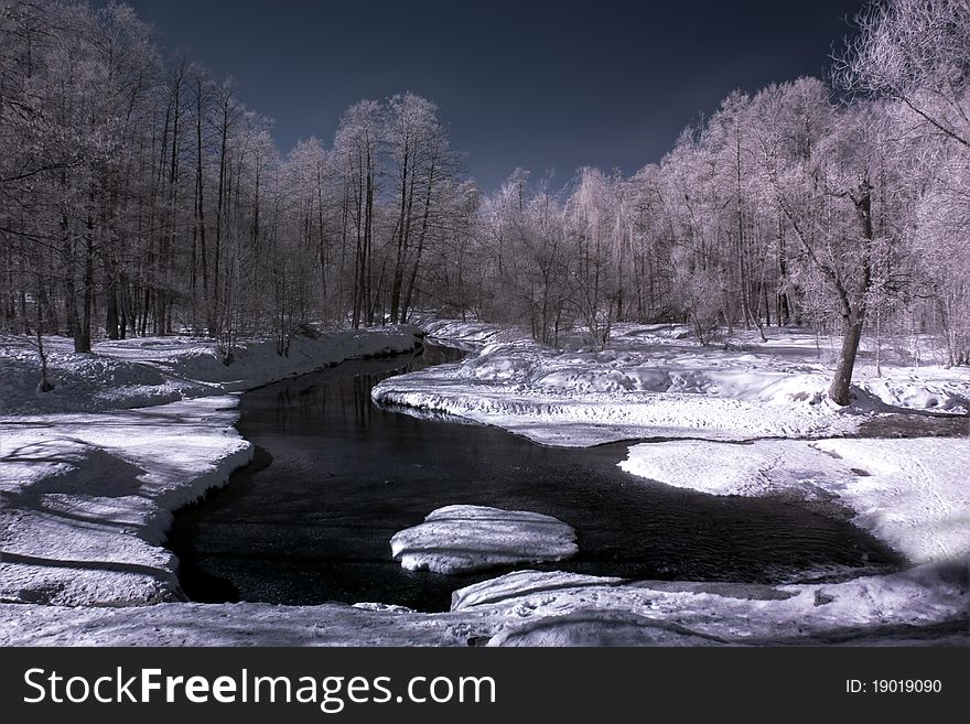 Trees in the winter and river