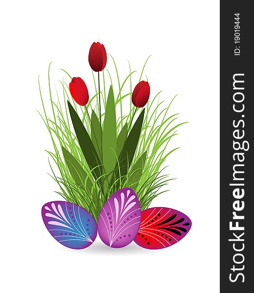 Tulips and Easter eggs against the white background