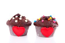 Two Lovely Chocolate Muffins Royalty Free Stock Photo Two Lovely Chocolate Muffins Royalty Free Stock Photo