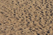 Sand Foot Prints Royalty Free Stock Images Sand Foot Prints Royalty Free Stock Images