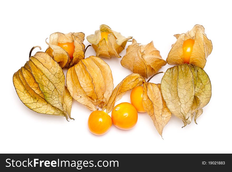 Some fresh orange Physalis over a white background