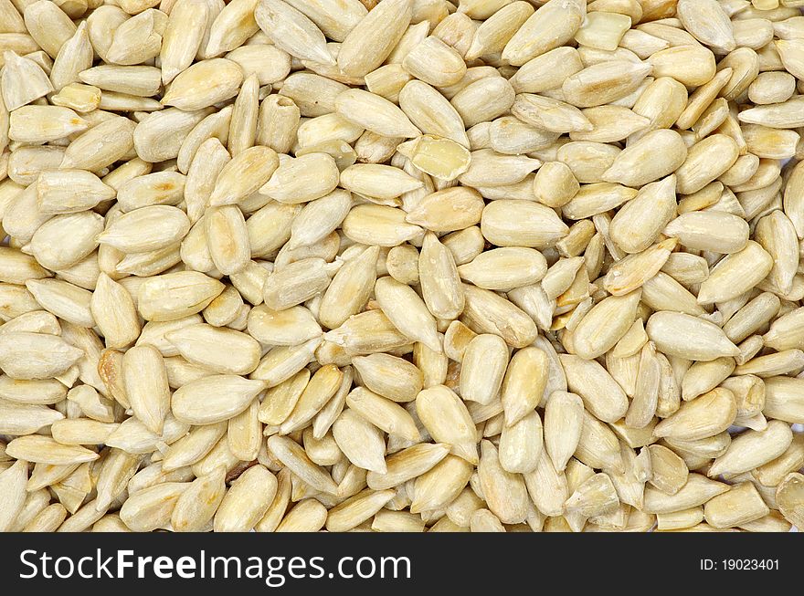 Roasted sunflower seeds close up. Roasted sunflower seeds close up