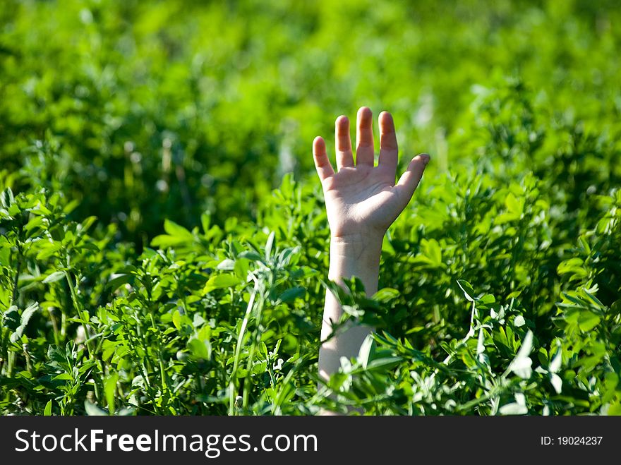 The hand stretched from a grass upwards