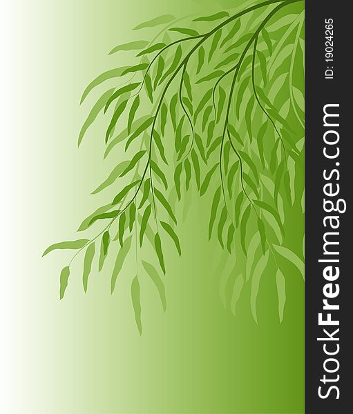 Vector Background With Branches