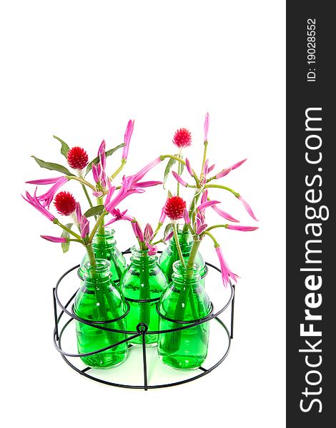 Pink and red flowers in little glass vases isolated on white background