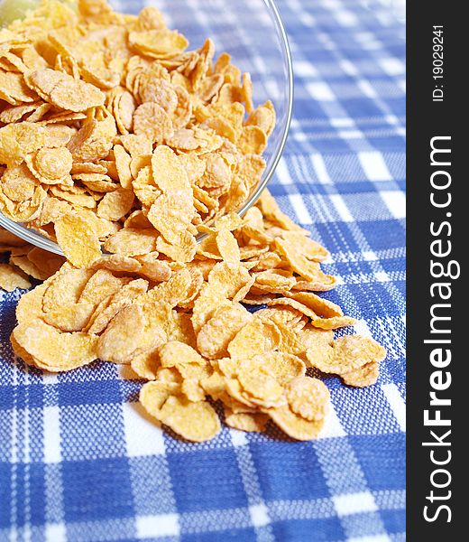Corn flakes are scattered on the tablecloth. Corn flakes are scattered on the tablecloth