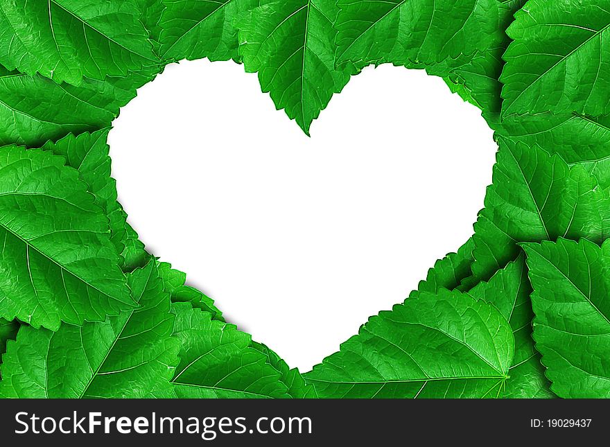 Green leaves heart isolated on white background
