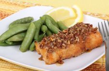 Fish Fillet Meal Royalty Free Stock Photography Fish Fillet Meal Royalty Free Stock Photography