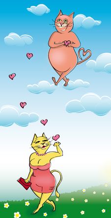 Cats In Love Royalty Free Stock Photo Cats In Love Royalty Free Stock Photo