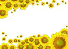 Sunflower Drops Frame Stock Photos