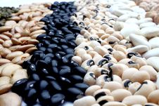 Various Beans Close Up Stock Images