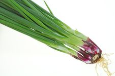 Spring Onion Stock Images Spring Onion Stock Images
