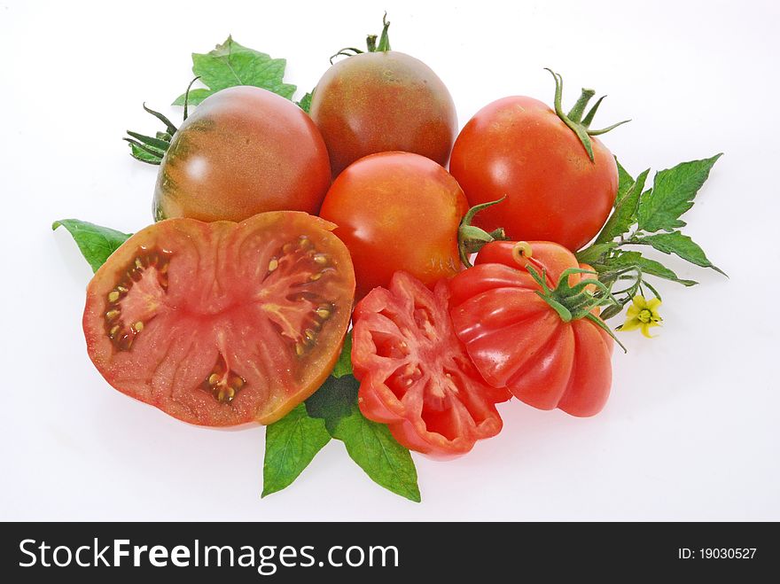Group of various sorts of tomatoes with leaves and bloom