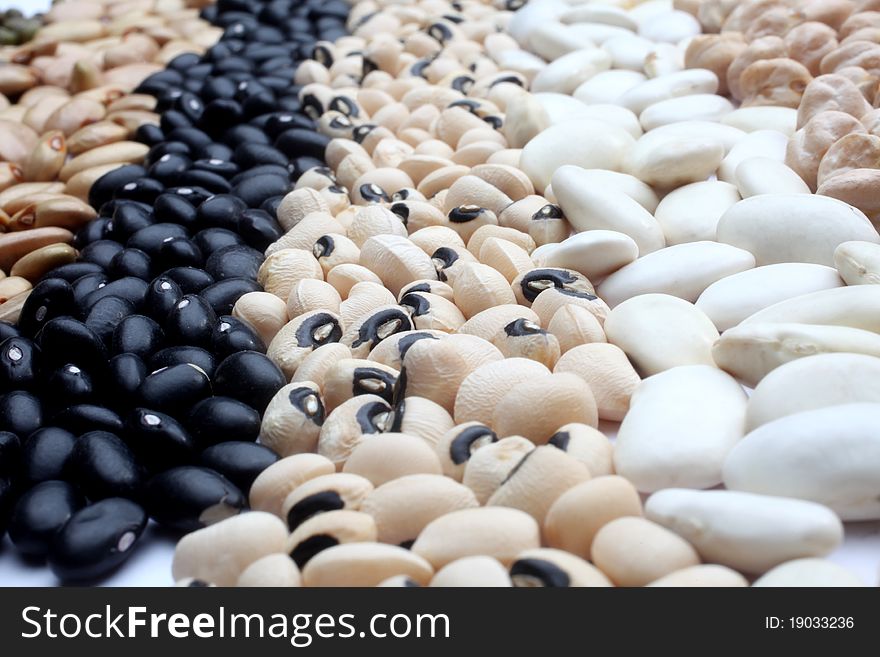 Various Beans Close Up