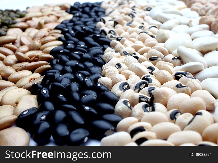 Various Beans Close Up