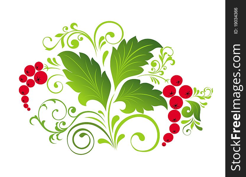 Floral Illustration With Berry
