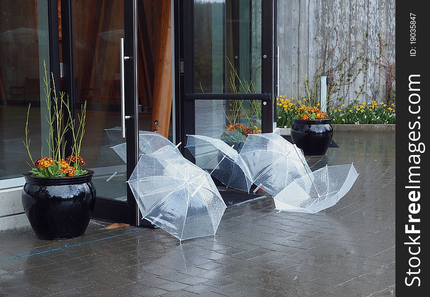 Umbrellas At The Entrance