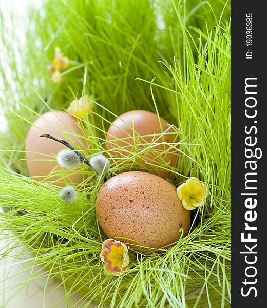 Easter Eggs in basket with green grass