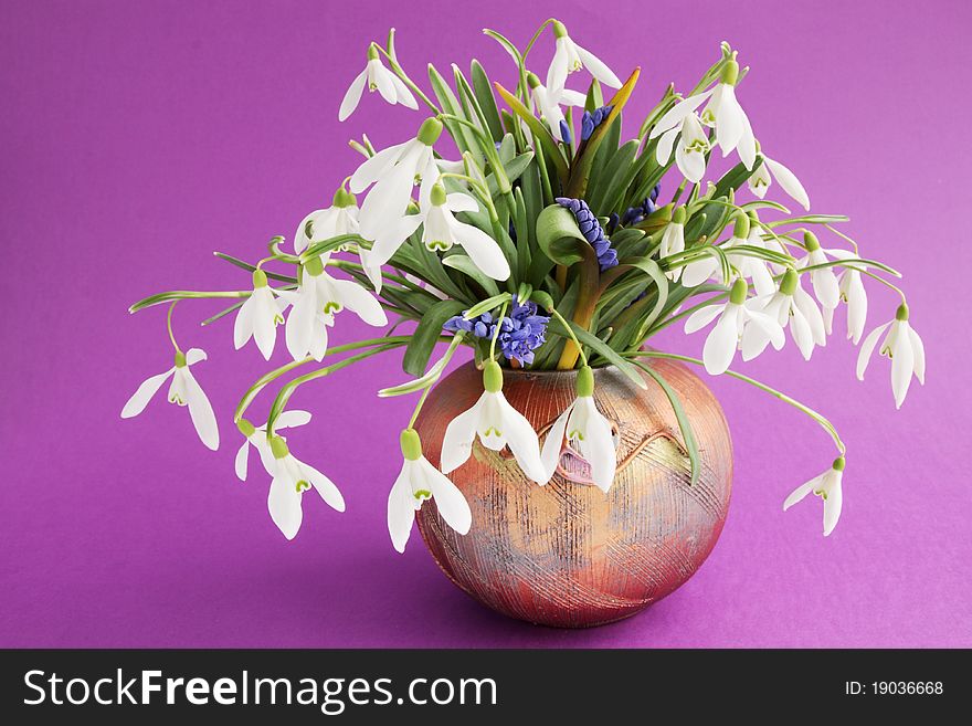 Snowdrops in vase