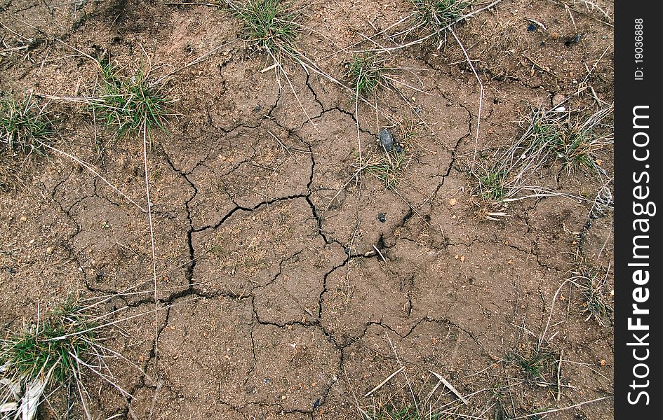 Crack in dry soil in summer