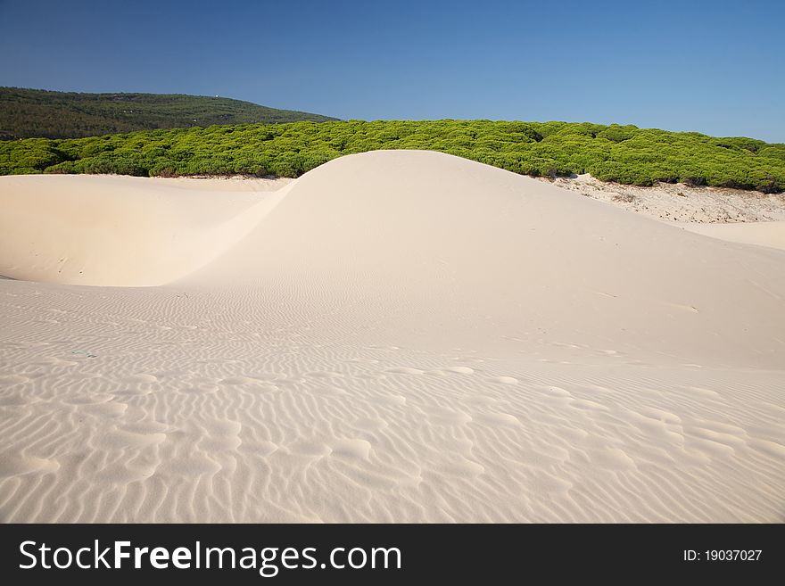 Great sand dune at Cadiz Andalusia in Spain. Great sand dune at Cadiz Andalusia in Spain