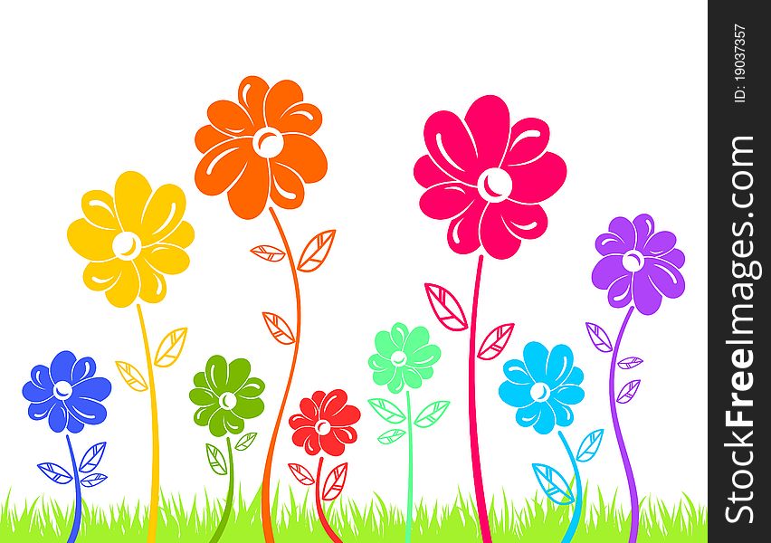 Colour Flowers On Green Grass Isolated