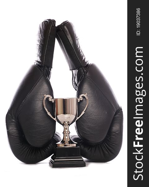 Boxing Gloves And Trophy