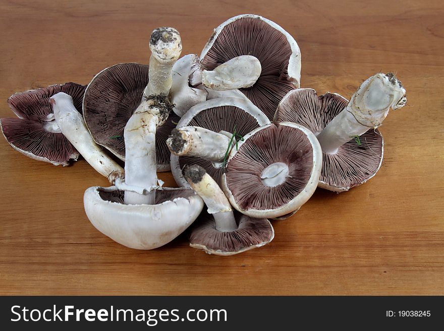 A group of freshly picked field mushrooms on a chopping board. A group of freshly picked field mushrooms on a chopping board