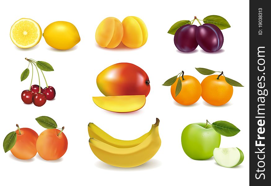 Group with different sorts of fruit. Vector.