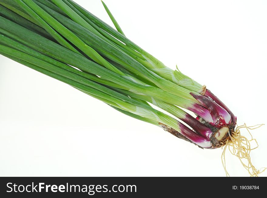 Closeup Of Green Spring Onion Plants Isolated On White Background
