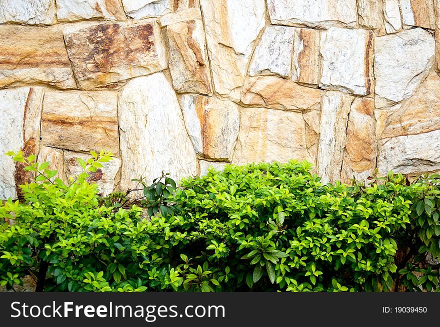 Textured stone wall and plants at the bottom