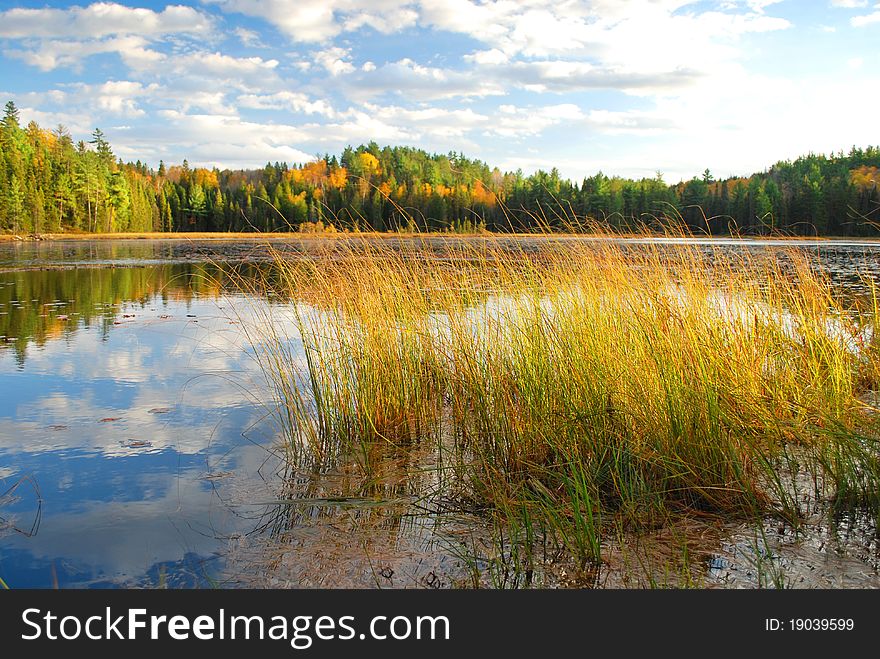 Beaver Lake in Algonquin Park, Canada