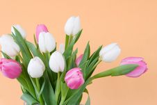 Tulips On Pastel Blue Watercolor Background Royalty Free Stock Photos Tulips On Pastel Blue Watercolor Background Royalty Free Stock Photos
