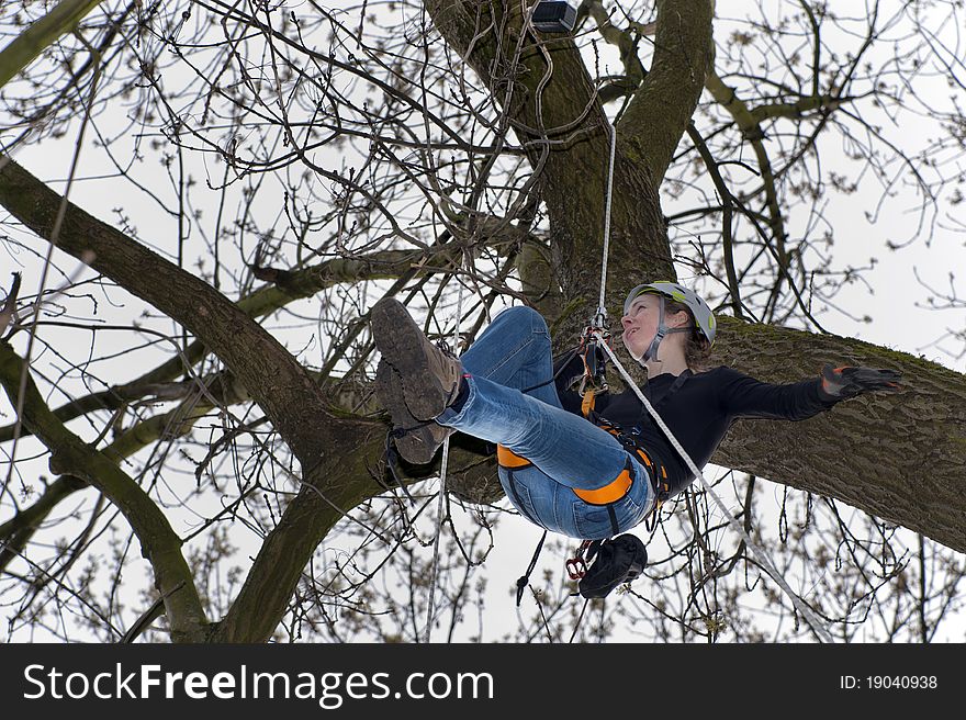 Young woman when geocaching in a tree. Young woman when geocaching in a tree