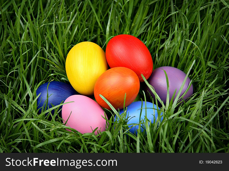 Colorful Easter eggs hidden in the grass