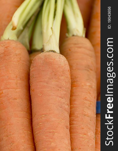 Close up on a cluster of carrots.