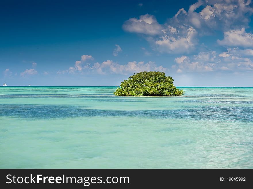 Island of mangrove green forest in a blue ocean