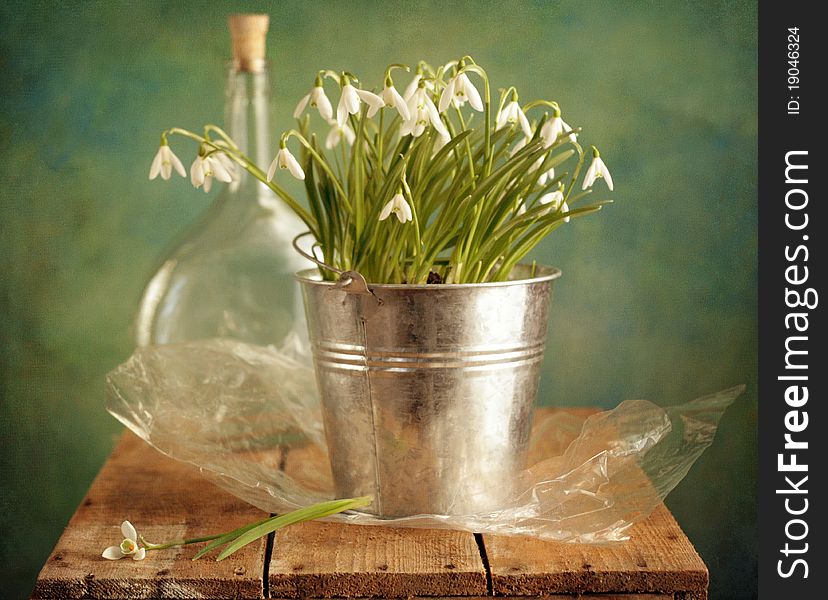 Still life with snowdrops on the case. Still life with snowdrops on the case