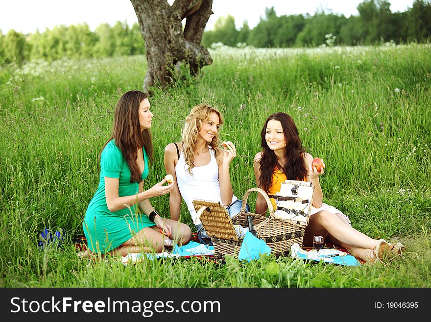 Very fun girlfriends on picnic