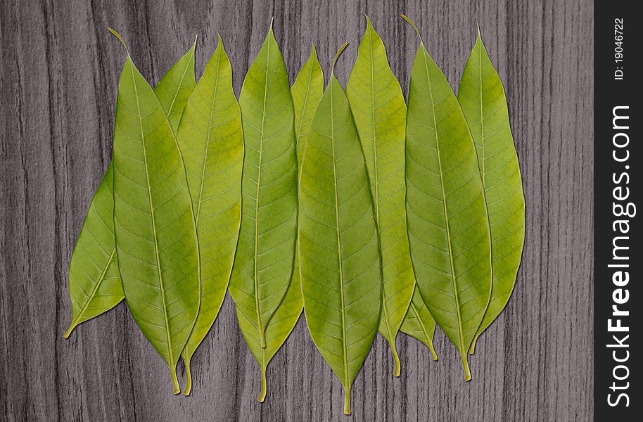 Pile of green leaf  isolated on wooden background
