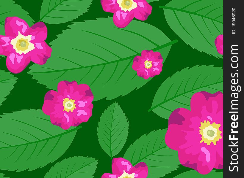 The dogrose leaves and flowers seamless background