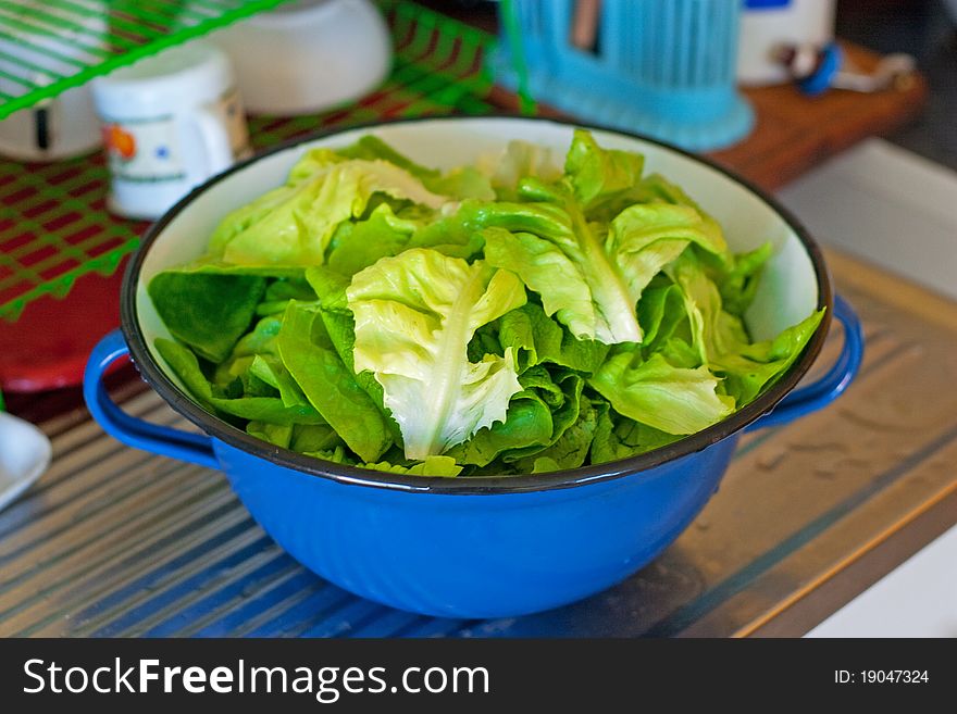 Green salad in blue metal bowl