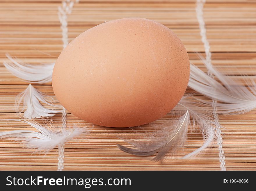 Macro view of brown egg with feathers on a straw