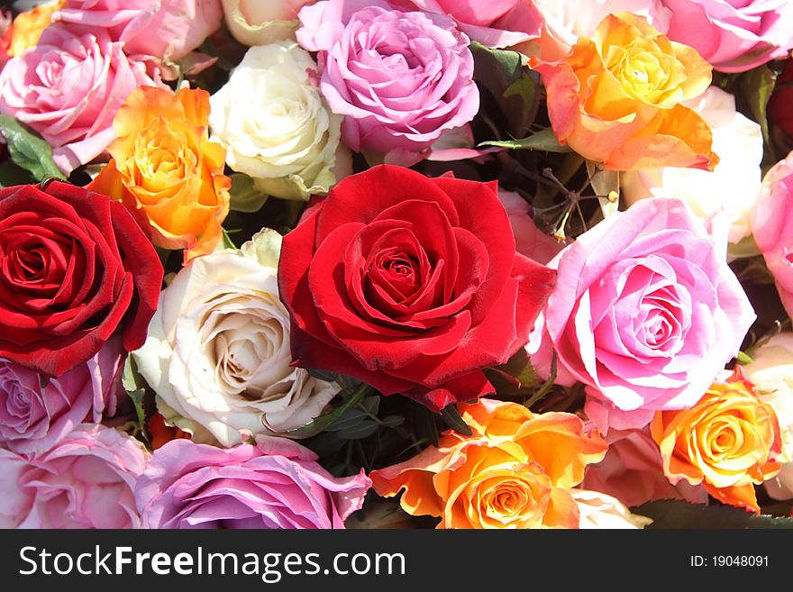 A floral arrangement made off big orange, white, pink and red roses in the sunlight. A floral arrangement made off big orange, white, pink and red roses in the sunlight